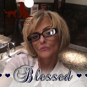 Meet your Posher, Beverly